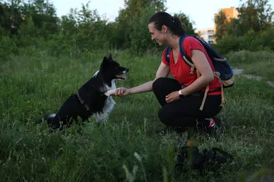 Happy Pet - Anna Włodarczyk - Psi behawiorysta COAPE - Łódź